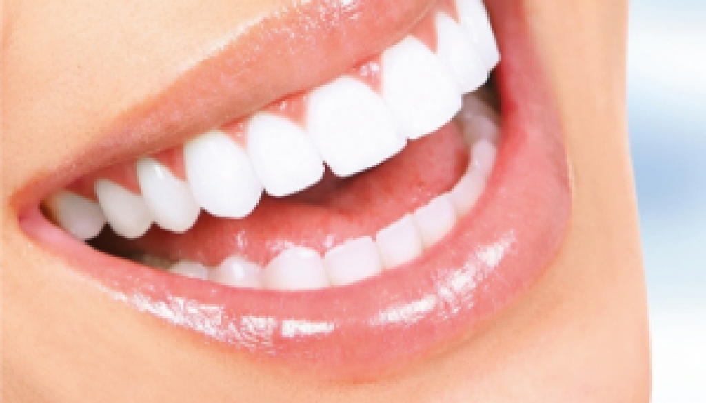 hercka miniaturka hercka miniaturka